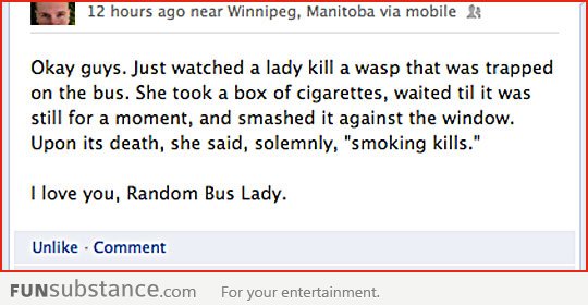 Random bus lady killing a wasp