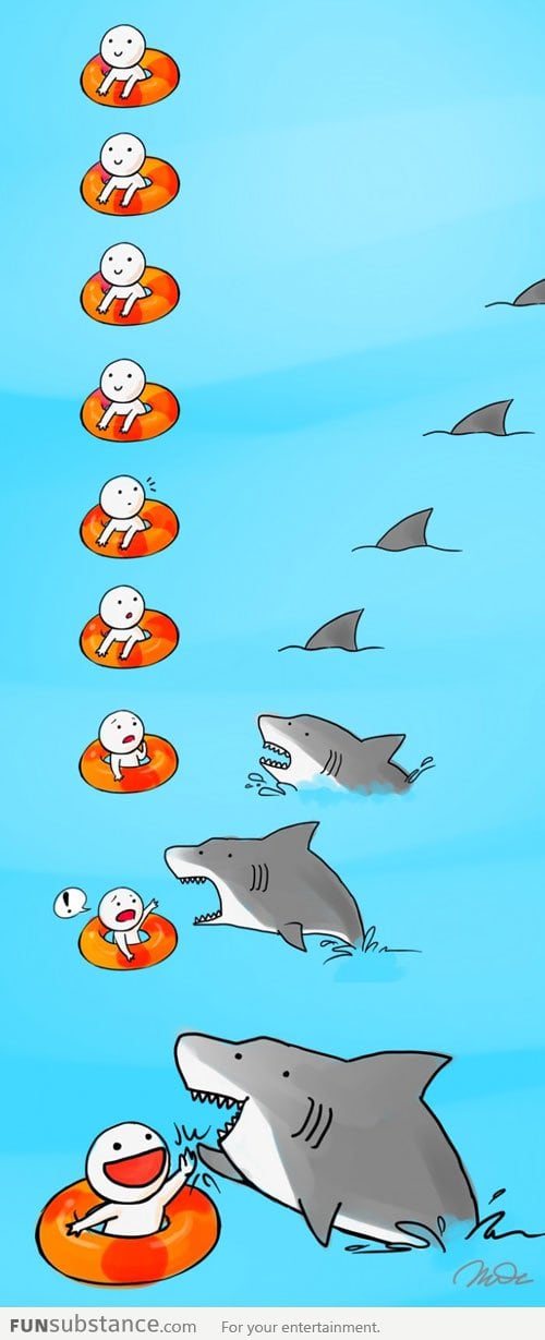 A shark attack