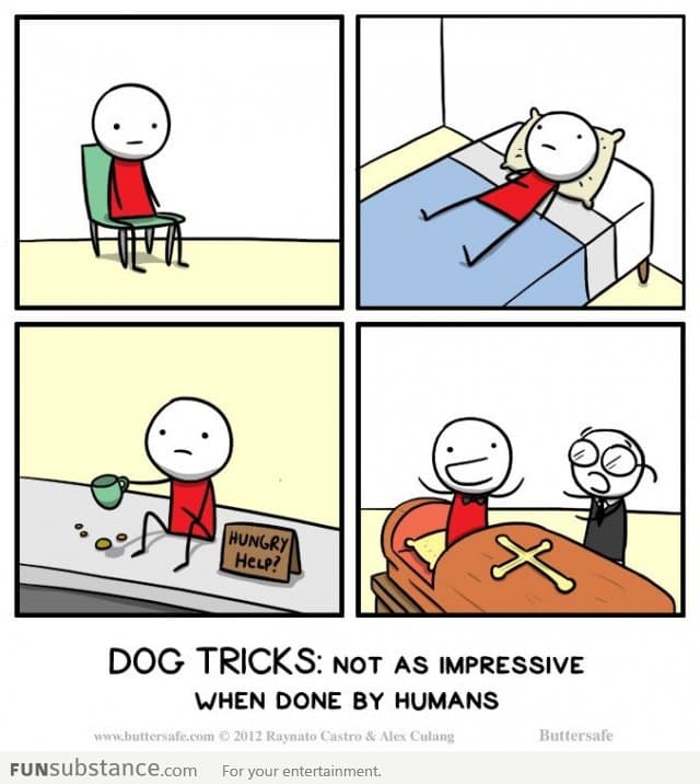 Dog Tricks - Not As Impressive When Done By Humans