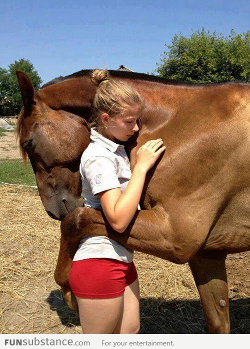 Horse Hugs Human