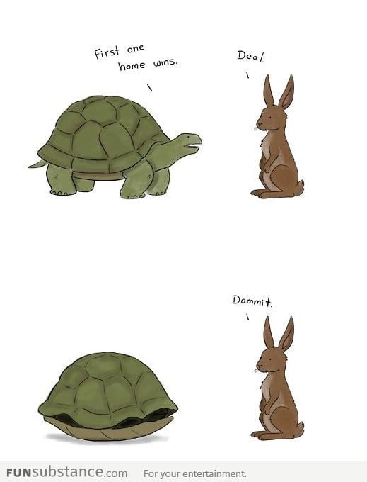 Troll turtle