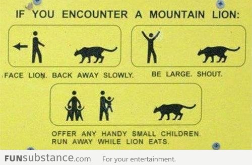 What to do when you encounter a mountain lion