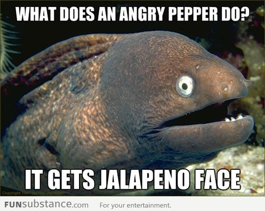 Bad Joke Eel gets spicy