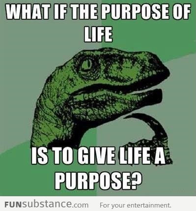 What is the purpose of life?