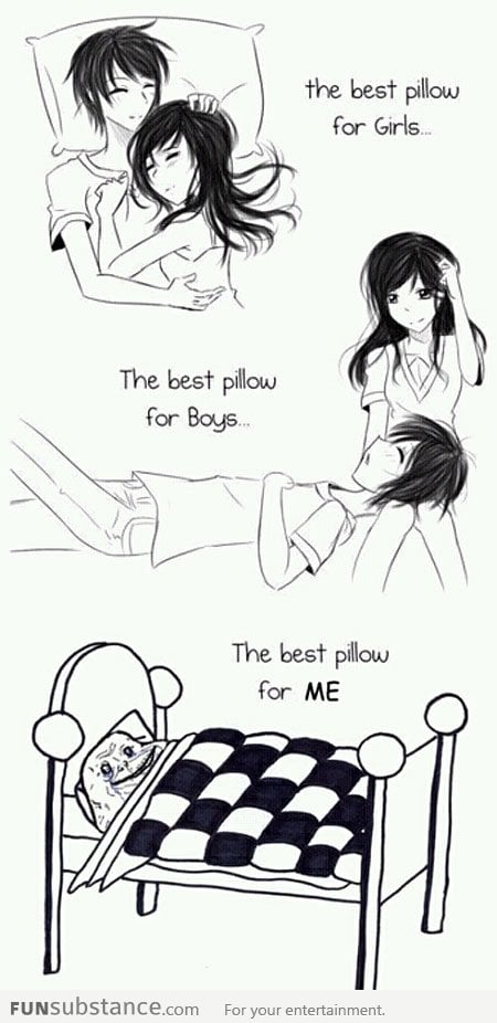 The best pillow for forever alone me