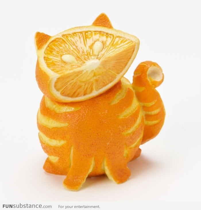 Orange Cat. Literally.