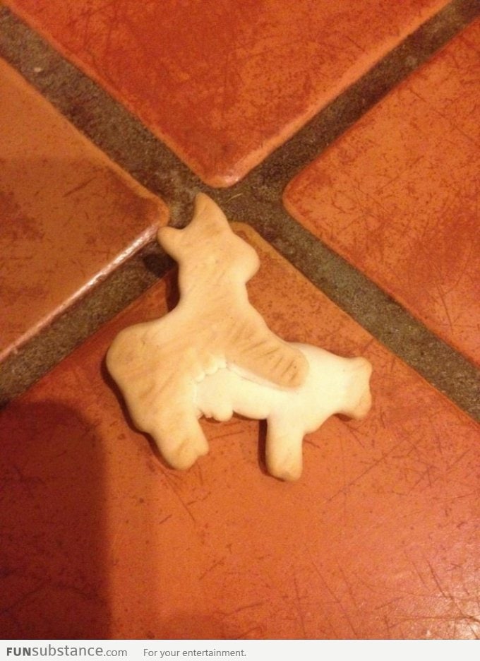 Found this an animal cracker.