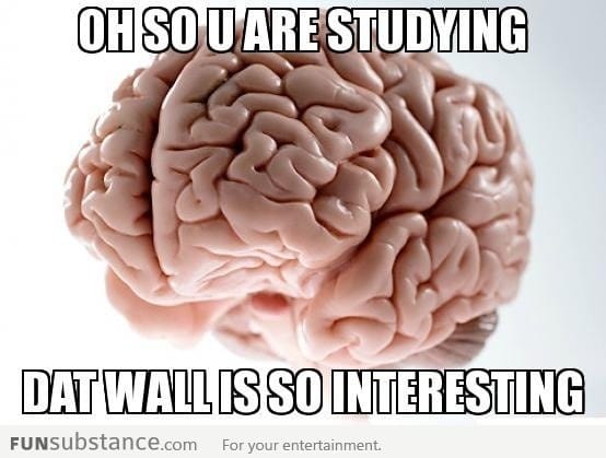 Scumbag brain on studying