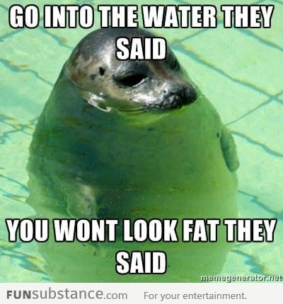 Got into the water they said, you won't look fat they said.