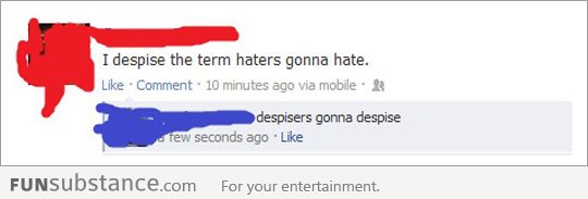 Haters Gonna Despise