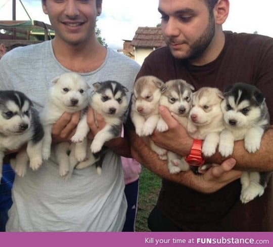 Arms full of fluffiness…