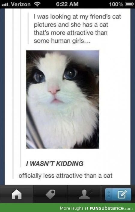 Officially less attractive than a cat