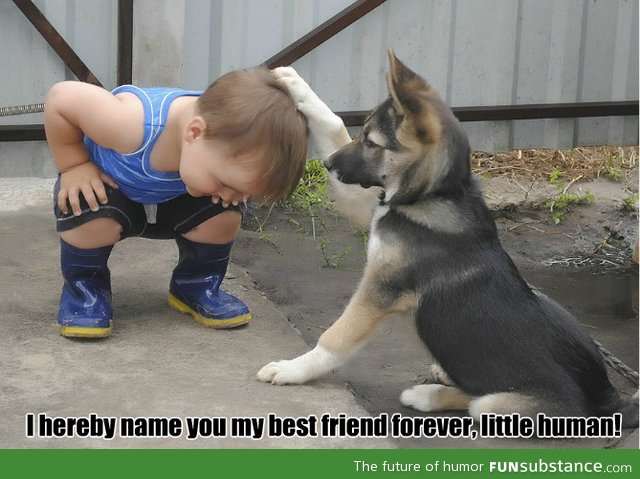 Best friends forever