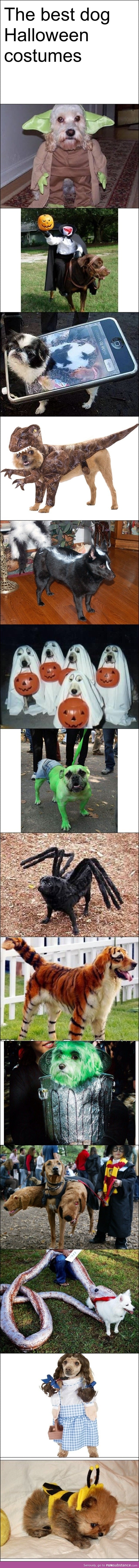 Dog costumes