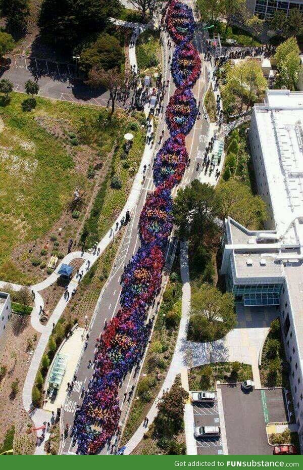 2600 people celebrating the discovery of dna