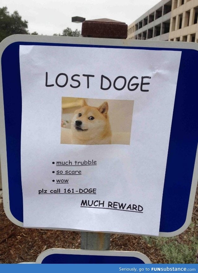 Doge is not over...yet.