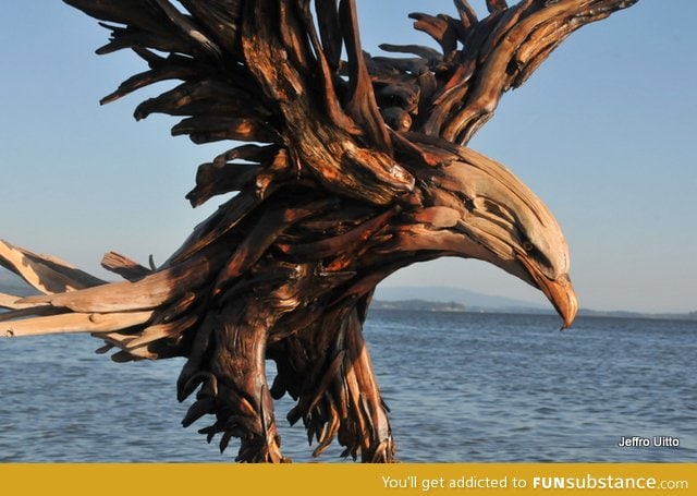 Driftwood eagle