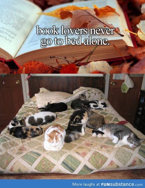 Book lovers are never alone