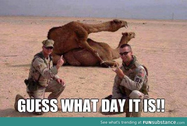 It's HUMPDAAAY!