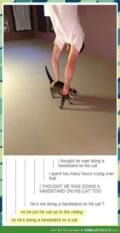 Hand stand on a cat