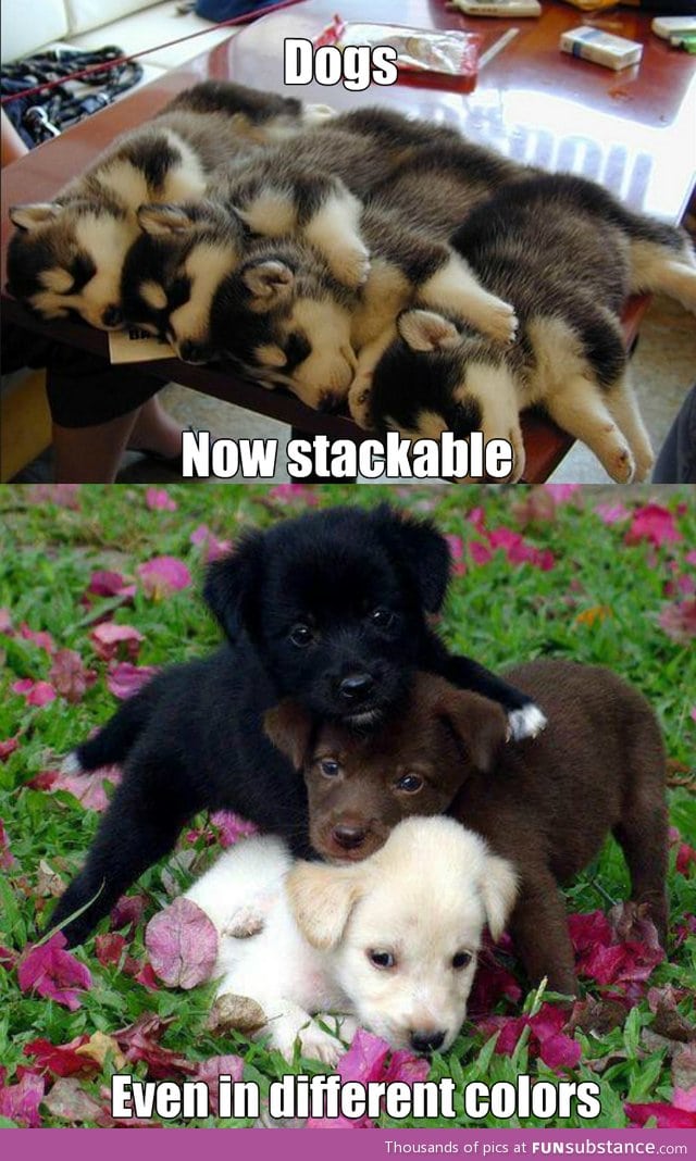 Stackable dogs