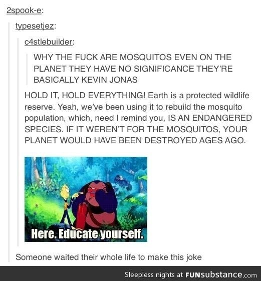 Mosquitos like Kevin jonas