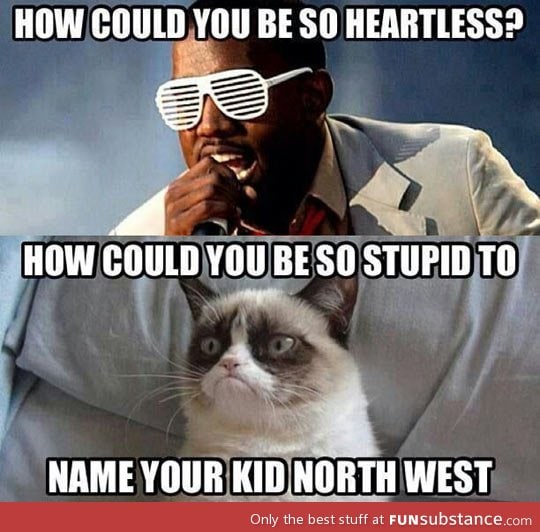 Heartless grumpy cat