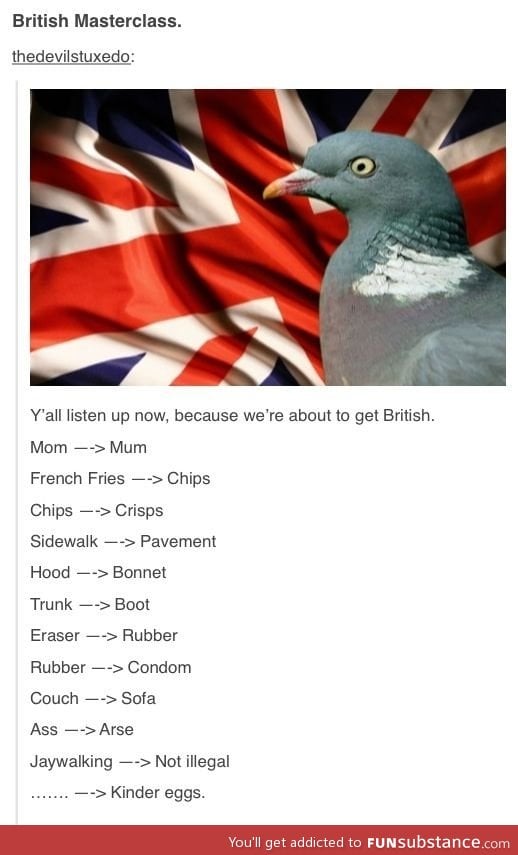 British lessons
