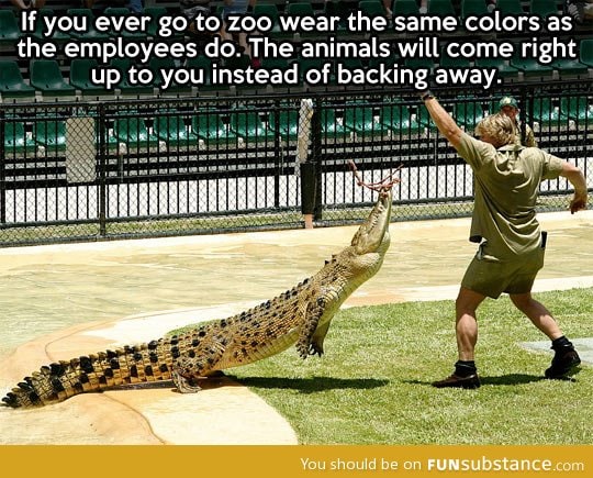 Next time you go to the zoo