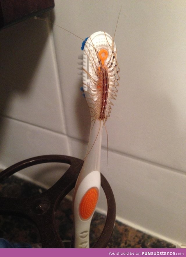 Time to brush my teeth and- nope