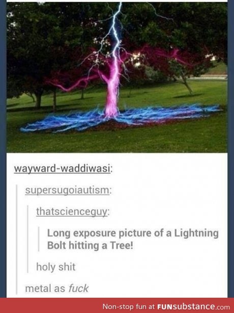 Lighting hitting a tree