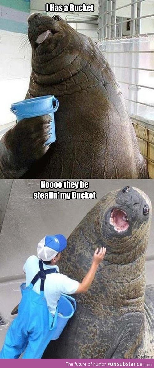 Don't steal my bucket