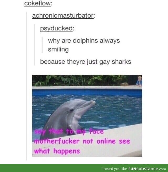 Gay sharks