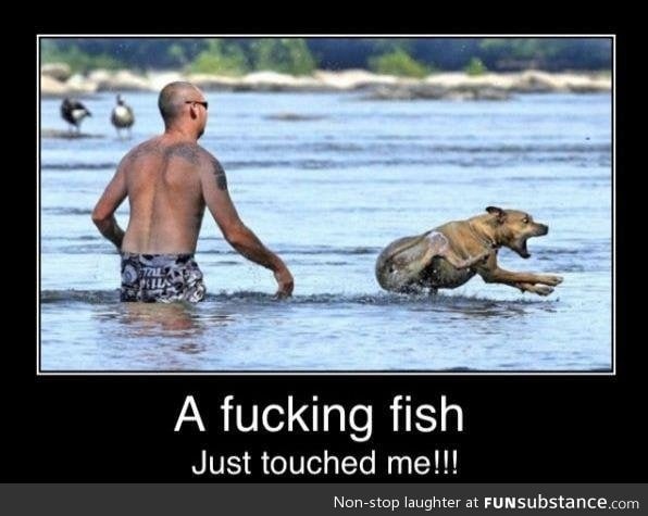A fish touched me !!!
