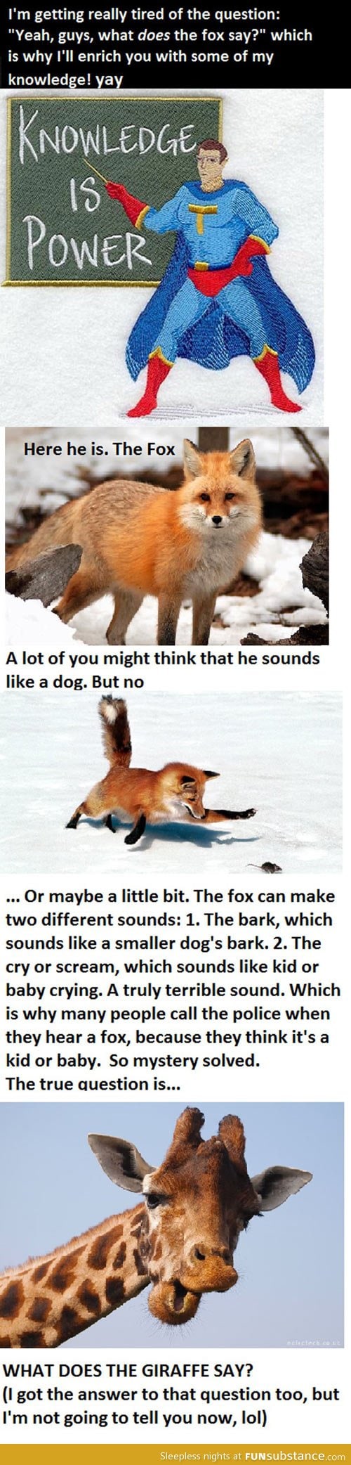 What the fox really says