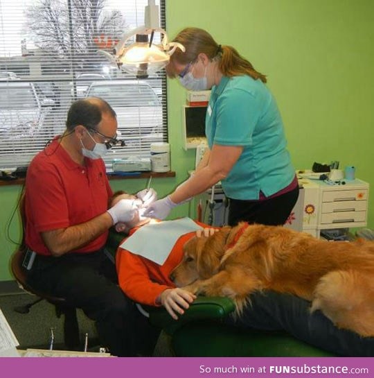 Dog helps little boy get over his fear at the dentist