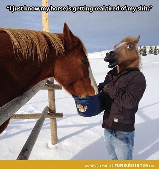 Quit horsing around