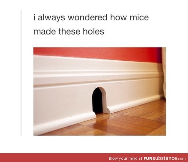 The Jerry's mouse holes would change shape I mean wow