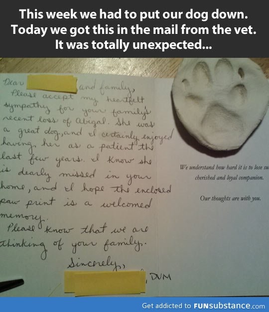 A vet with a big heart