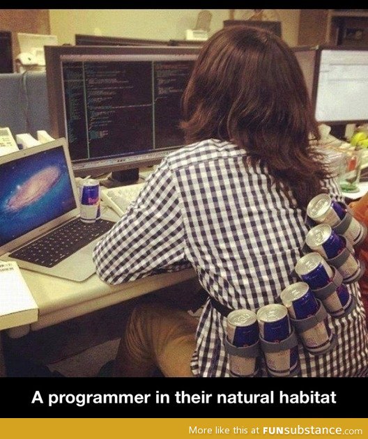 A programmer in their natural habitat