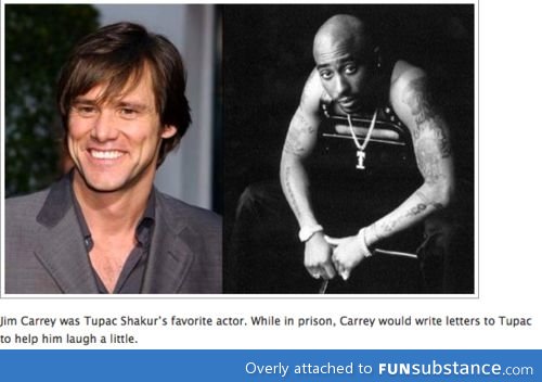 You gotta love jim carrey