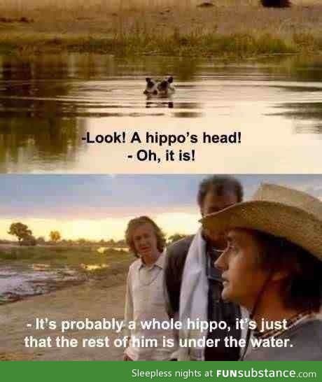 It's probably a whole hippo