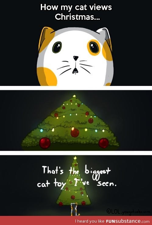 Why cats attack Christmas trees