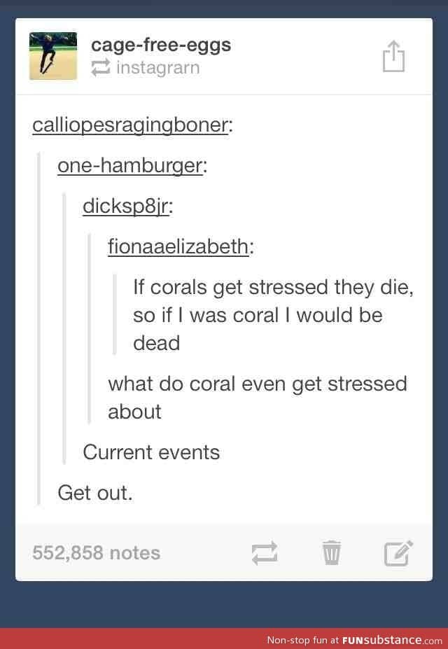Corals can die of stress