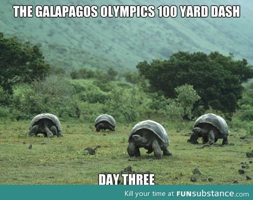 Galapagos olympics