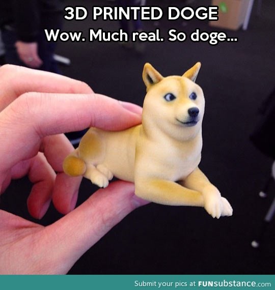 Doge print