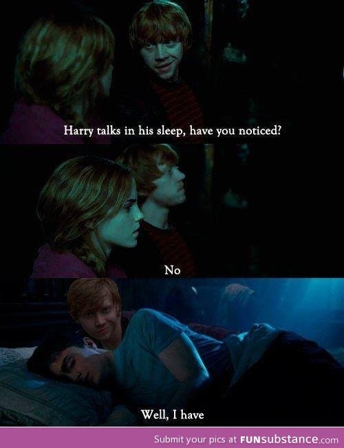 Harry potters secret