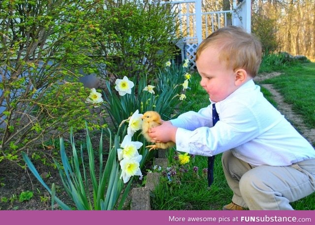 Boy helps his pet chicken smell a flower