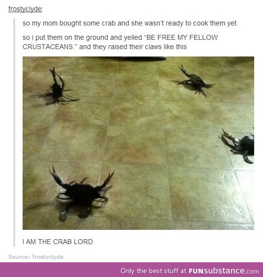I AM THE CRAB LORD