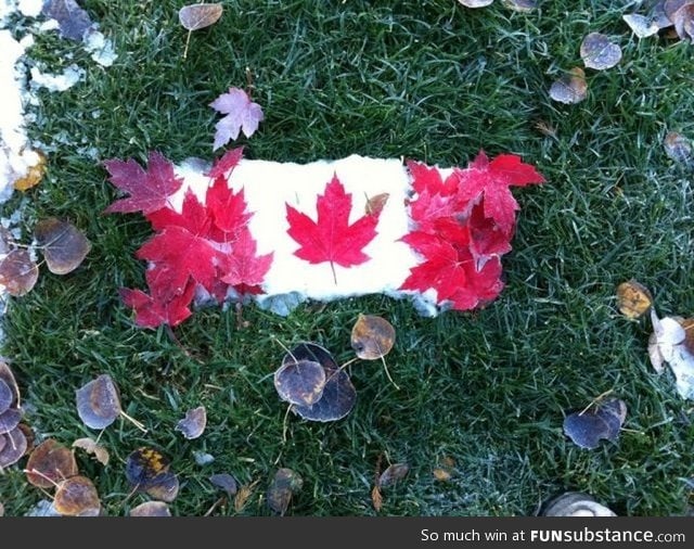 Canadian flag made out of real maple leaves and snow
